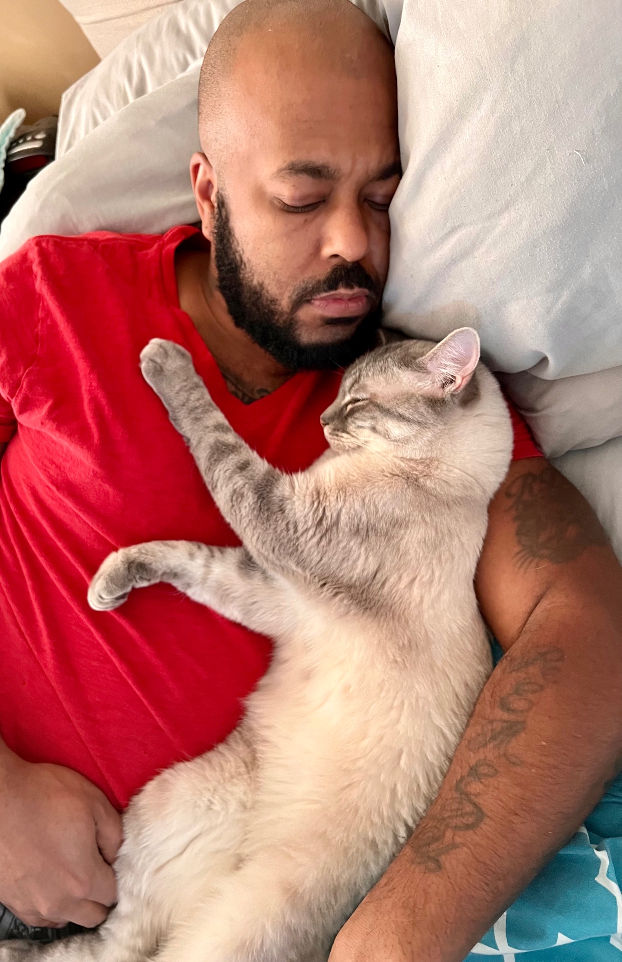 Remy napping with his cat